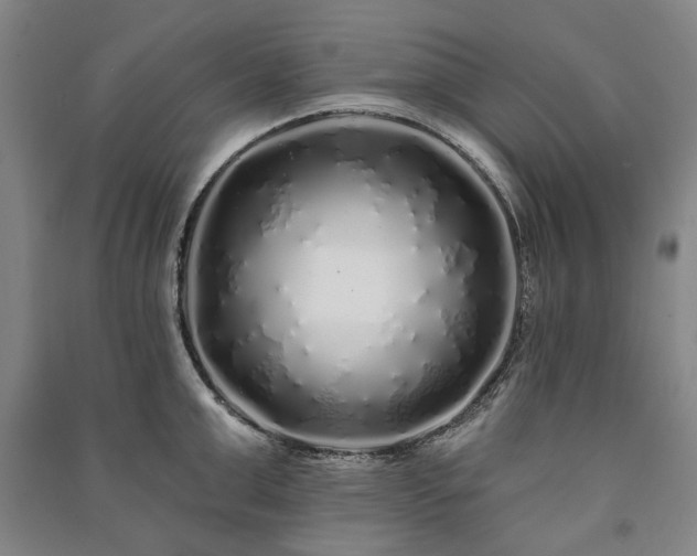 X0000091210999200708161539
