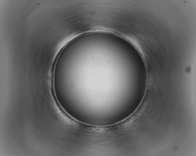 X0000091211003200708161539