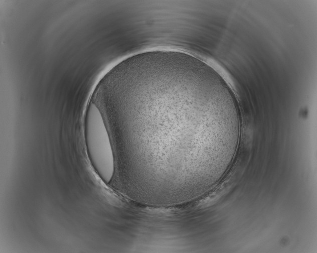 X0000091211004200708161539