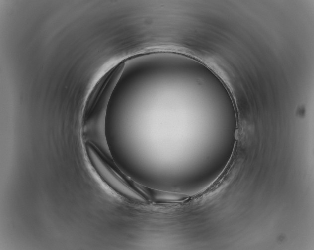 X0000091211005200708161539