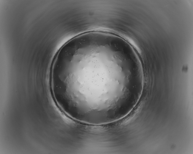 X0000091211007200708161539