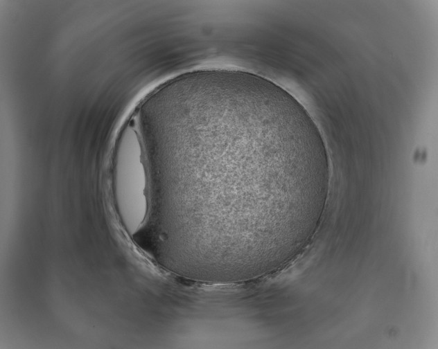 X0000091211008200708161539