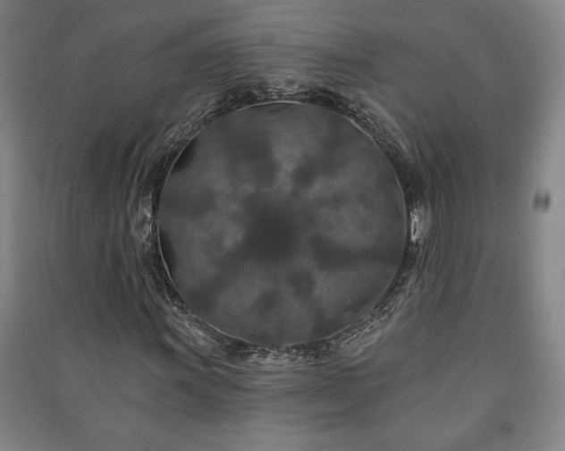 X0000091211011200708161538