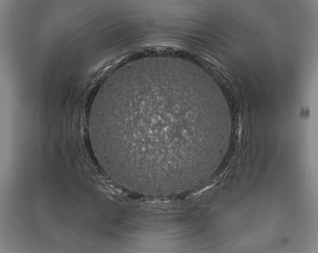 X0000091211014200708161538