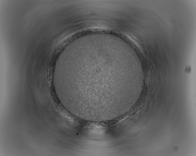 X0000091211015200708161538