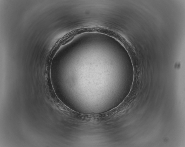 X0000091211016200708161538