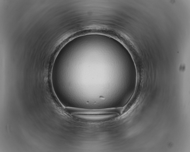X0000091211017200708161538