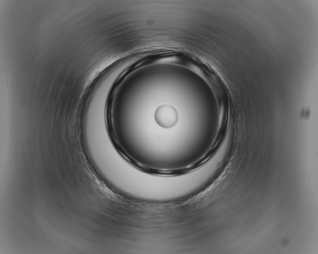 X0000091211018200708161538