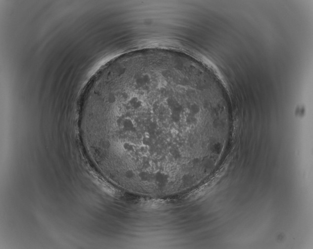 X0000091211019200708161538
