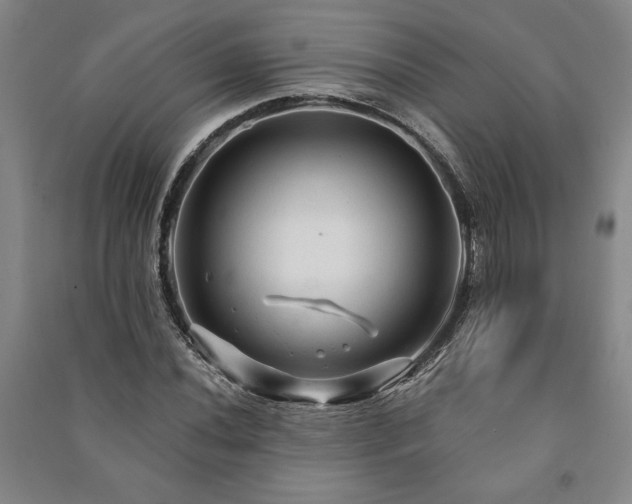 X0000091211020200708161538