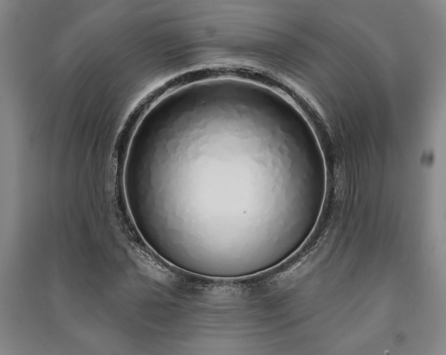 X0000091211021200708161538