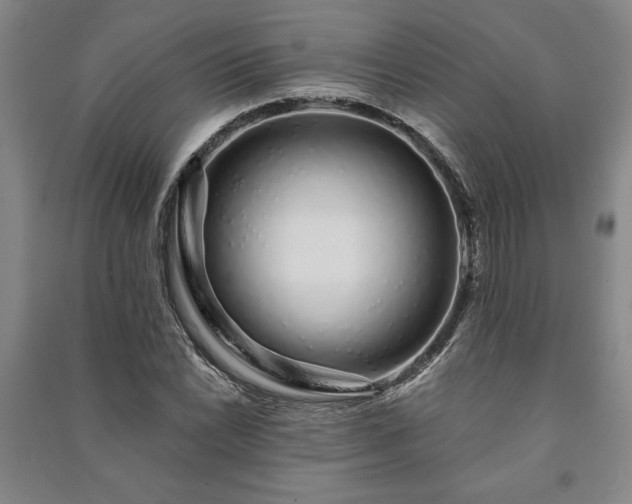 X0000091211022200708161538