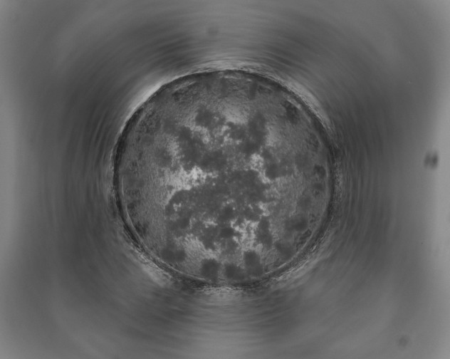 X0000091211023200708161538