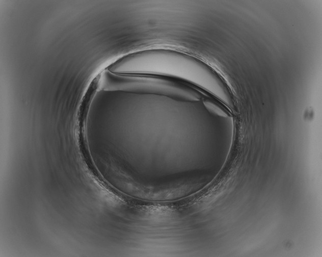 X0000091211024200708161538