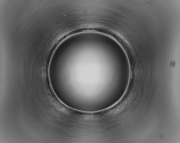 X0000091211025200708161538