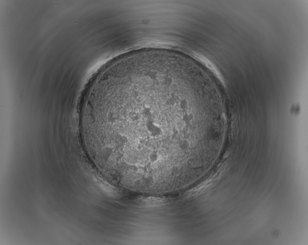 X0000091211027200708161538