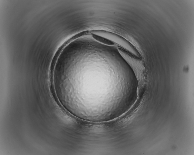 X0000091211028200708161538