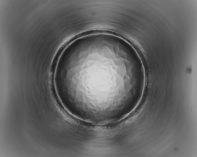 X0000091211029200708161538