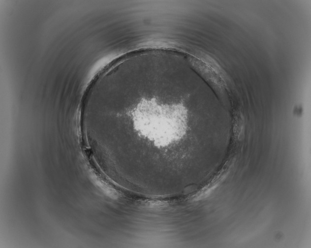 X0000091211030200708161538