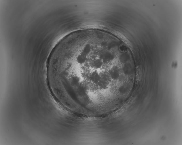 X0000091211031200708161538