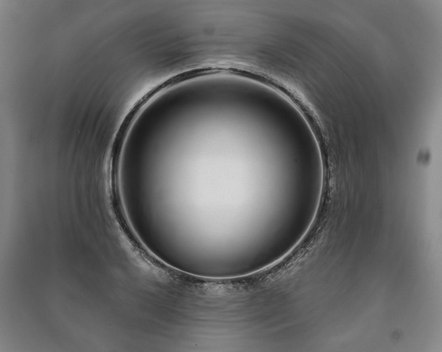 X0000091211032200708161538