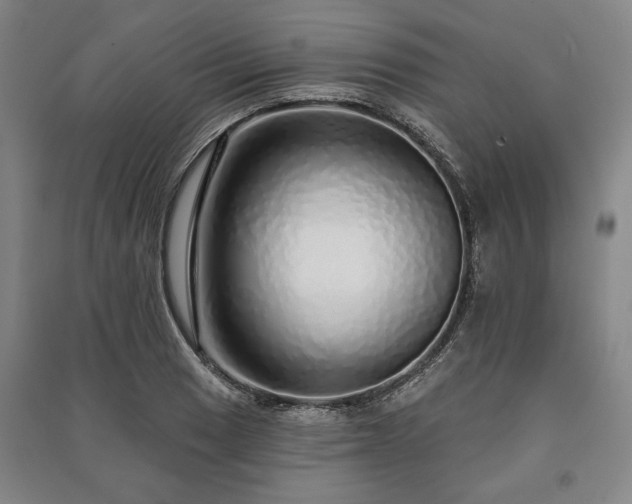 X0000091211033200708161538