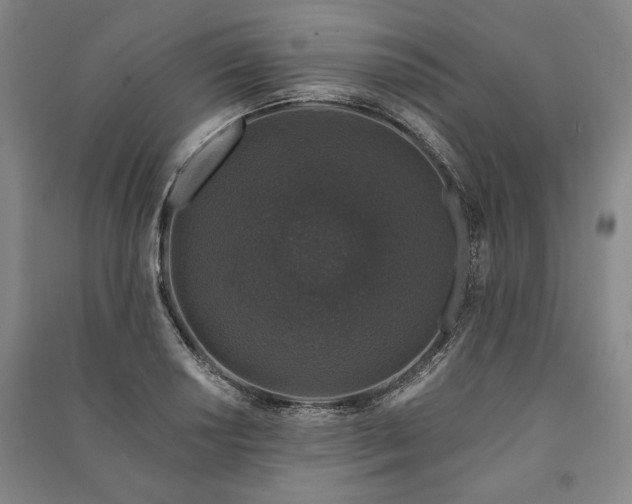 X0000091211034200708161538