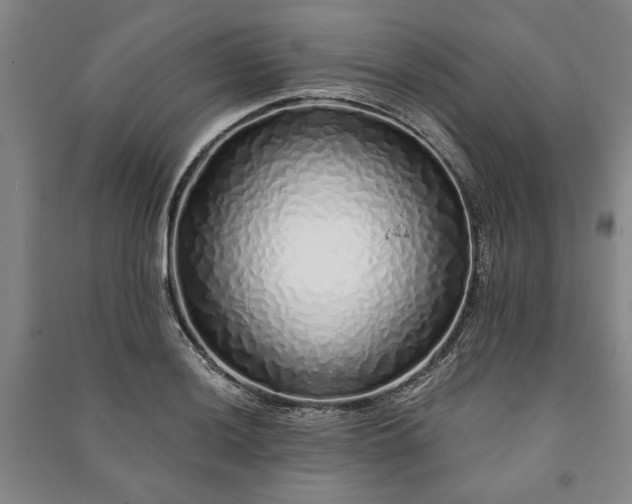 X0000091211036200708161538