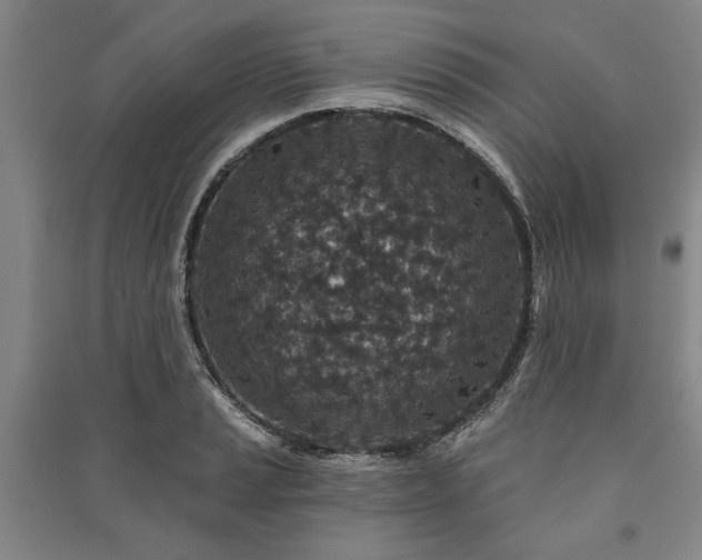 X0000091211037200708161538