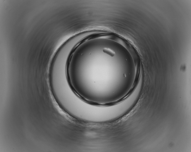 X0000091211038200708161538