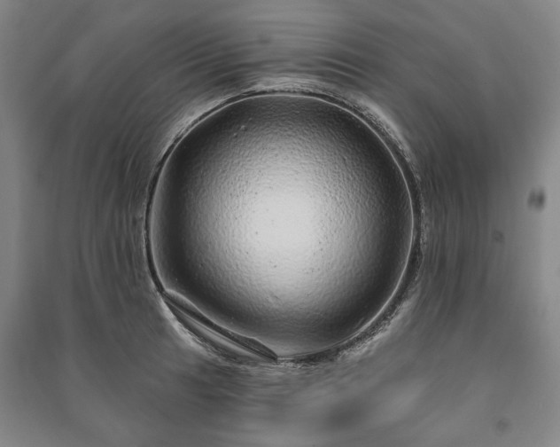 X0000091211041200708161538