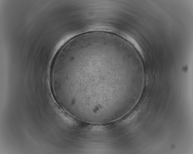 X0000091211043200708161539