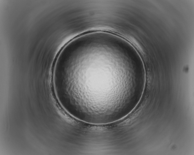 X0000091211044200708161539