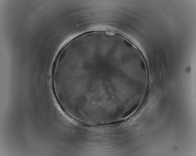 X0000091211045200708161539