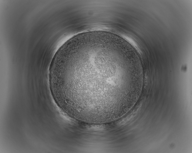 X0000091211047200708161539