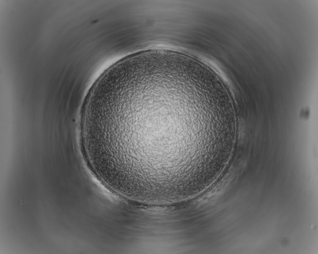 X0000091211048200708161539