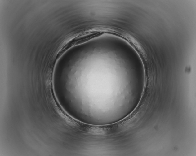 X0000091211049200708161539