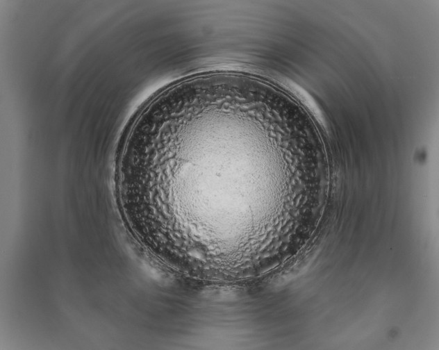 X0000091211051200708161539