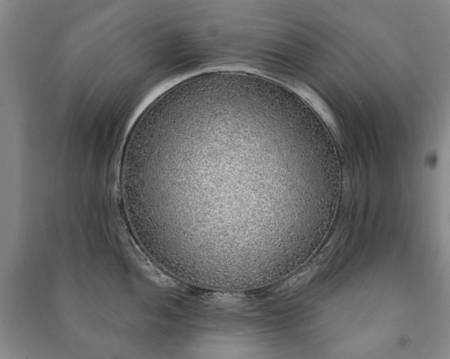X0000091211052200708161539