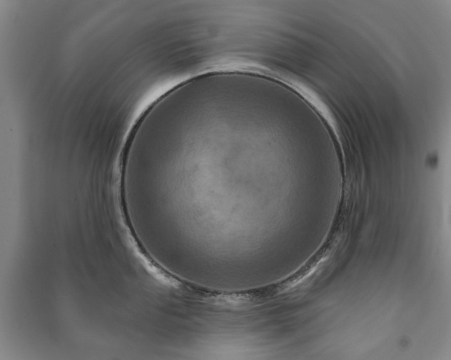 X0000091211053200708161539