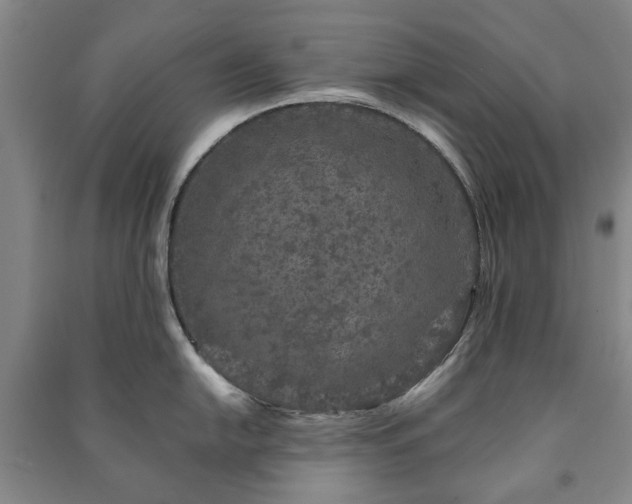 X0000091211054200708161539