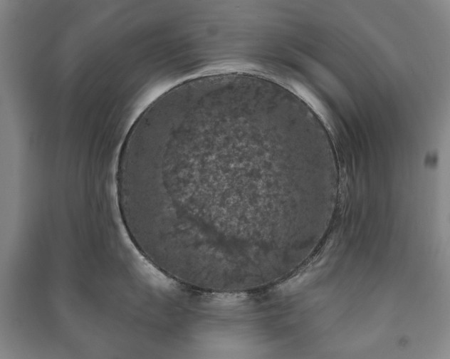 X0000091211055200708161539