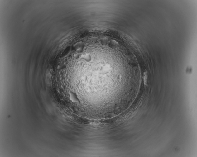 X0000091211059200708161538