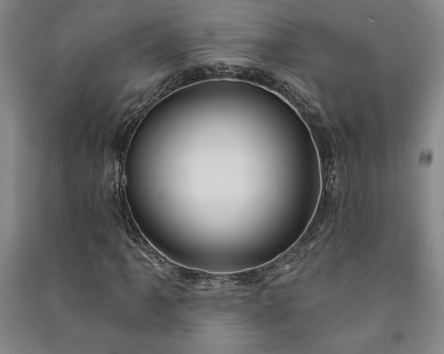 X0000091211061200708161538