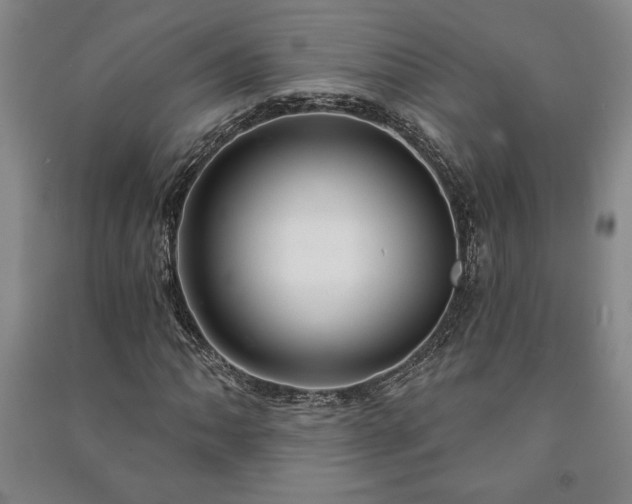 X0000091211062200708161538