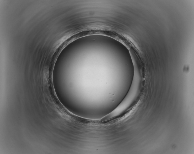 X0000091211065200708161538