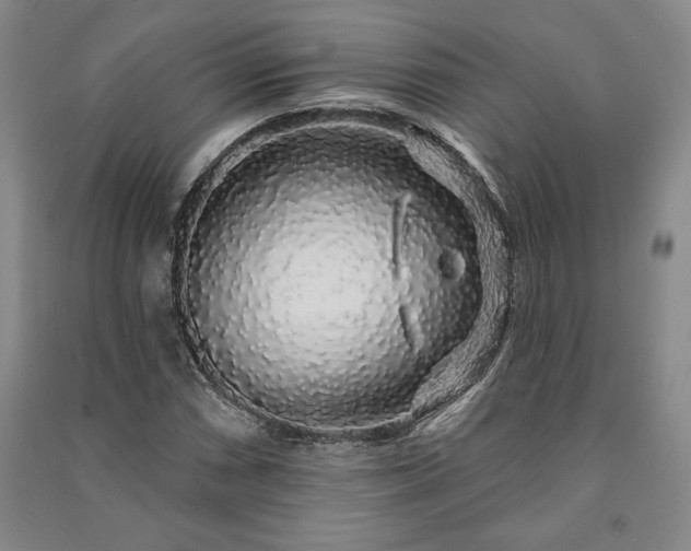 X0000091211066200708161538