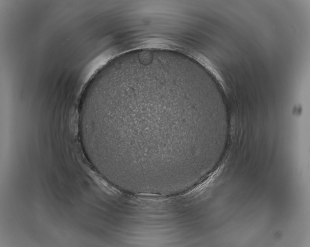 X0000091211067200708161538