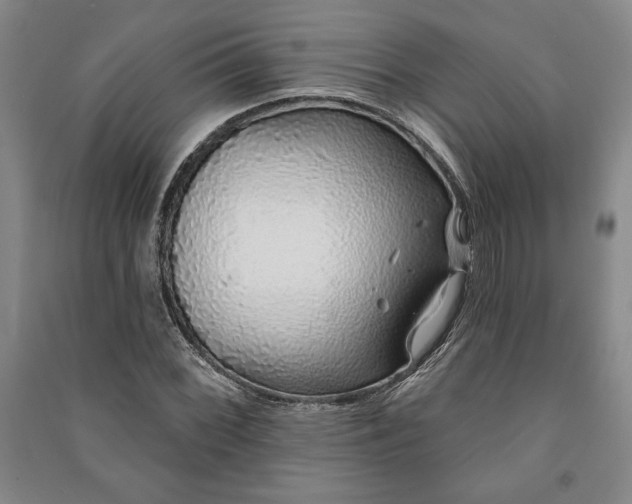 X0000091211068200708161538