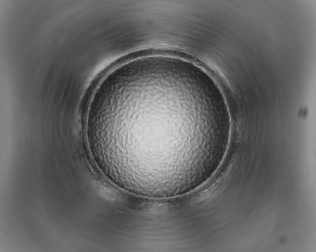 X0000091211070200708161538